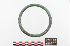 Foto von Bronzering (NHMW-PRAE-023884)